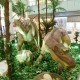 Shopping Anália Franco recebe a exposição “O Mundo dos Dinossauros”
