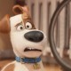 Max conhece seu ‘irmão’ Duke no segundo trailer de “Pets – A Vida Secreta dos Bichos”