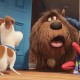 Universal Pictures lança versão dublada do segundo trailer de “Pets – A Vida Secreta dos Bichos”