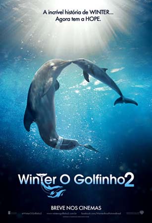Winter o Golfinho 2 pôster Crítica