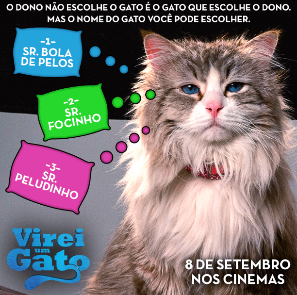 Resultado de imagem para virei um gato