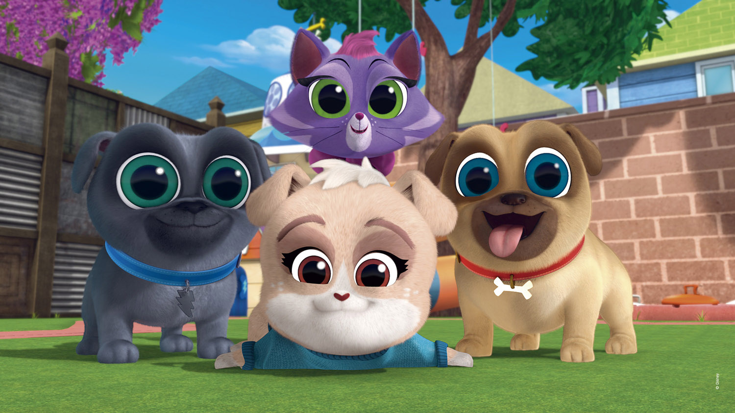 AToupeira » Novos episódios de “Puppy Dog Pals” apresentam personagem