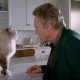 Comédia “Virei um Gato”, com Kevin Spacey e Jennifer Garner, ganha trailer oficial dublado