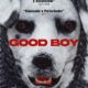 Crítica: “Good Boy”