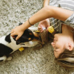 Vida em apartamento: desafios e soluções para o bem-estar dos animais de estimação