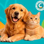 Pet Day Cobasi 2026 traz até 70% de desconto em produtos selecionados