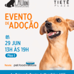 PFI e ONG Cão Sem Dono realizam evento de adoção no Tietê Plaza Shopping