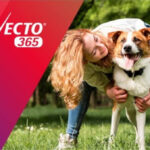 Parque Villa-Lobos recebe evento pet friendly com experiências interativas na Roda Rico