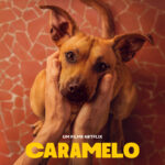 No Dia Nacional do Vira-Lata, Netflix divulga primeiras imagens e pôster do filme 