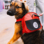 Lagunitas promove nova campanha de adoção de cachorros