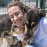 Adoções de animais crescem 219% em Rio Claro com apoio da tecnologia