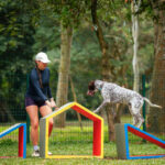 Petz celebra 23º aniversário com campanha promocional e evento no Parque Ibirapuera
