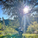 Artista lança single sobre a valorização da vida e da saúde mental