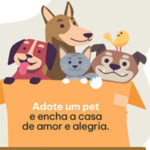 Shopping Taboão realiza 3ª Feira de Adoção com cães e gatos resgatados