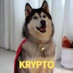 João Guilherme, Patricia Ramos, Gudan e Blant protagonizam vídeos especiais para 'Superman'