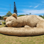 Cobasi leva interatividade e bem-estar ao Festival Zen com a obra “Círculo de Paz” como parte da comemoração dos seus 40 anos