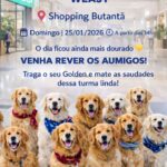 Weasy faz primeiro Encontro de Goldens do ano em sua loja no Shopping Butantã