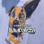 No Lollapalooza Brasil, ação da Ampara Animal convida público a apoiar a proteção dos animais