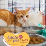 Carioca Shopping promove Evento de Adoção Pet