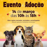 ParkShopping São Caetano recebe evento de adoção de pets
