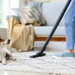 Pet em casa? Veja os produtos ideais e os vilões que devem ser evitados na limpeza da casa