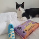 Au.Migos Pets mobiliza torcida felina para celebrar estrela pet do cinema