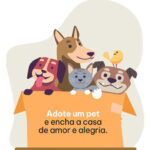 Cães e gatos resgatados buscam um novo lar em ação especial no Shopping Taboão