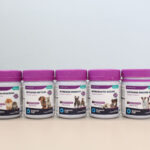 Nova relação dos tutores com seus pets impulsiona lançamento de suplementos mastigáveis