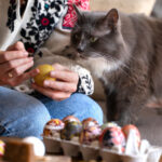 Páscoa com pets: como adaptar as tradições sem colocar a saúde dos animais em risco
