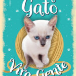 Entre miados e descobertas: a convivência que mudou duas vidas