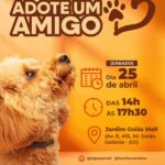 Evento de Adoção acontece no Jardim Goiás Mall durante o Abril Laranja