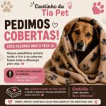 Saiba como ajudar a aquecer os cãezinhos do Cantinho da Tia Pet