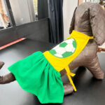 Pets no clima da Copa: professora ensina passo a passo de vestido temático para cães