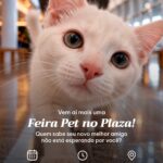 Um novo lar: Evento de adoção pet acontece no Grande ABC